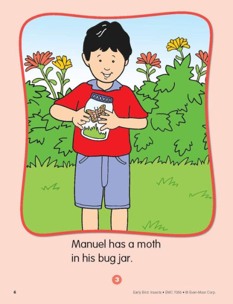 Early Bird: Insects, Age 4 - 5 Workbook