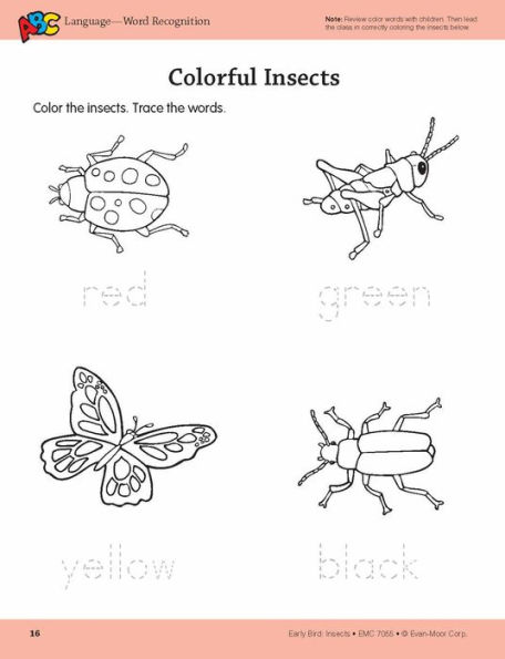 Early Bird: Insects, Age 4 - 5 Workbook