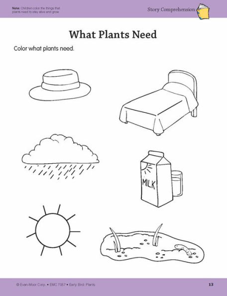 Early Bird: Plants, Age 4 - 5 Workbook