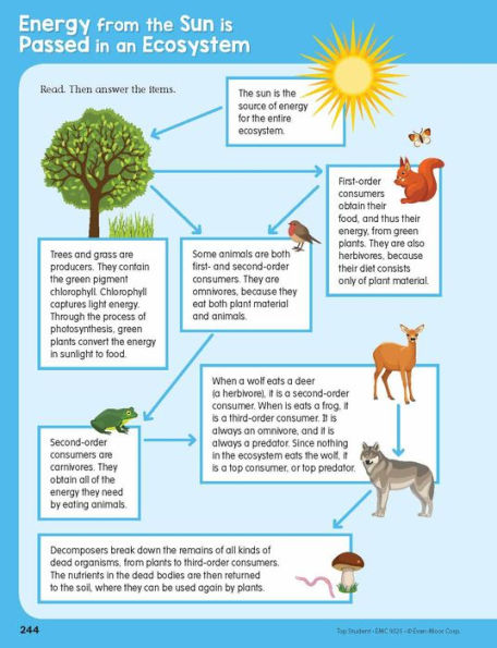 Top Student, Grade 5 Workbook