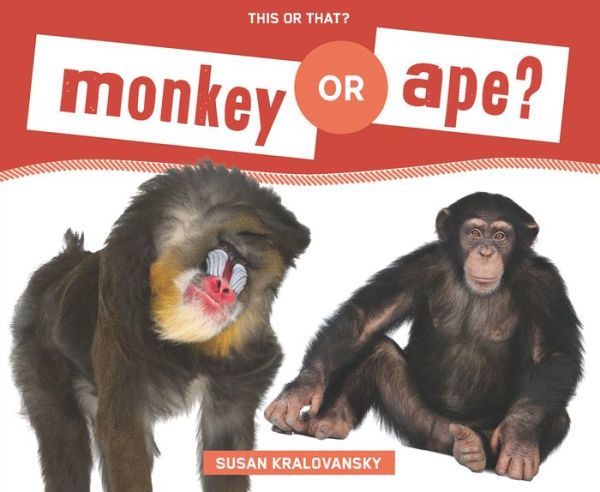 Monkey or Ape?