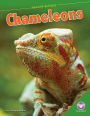 Chameleons