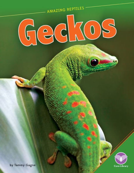 Geckos