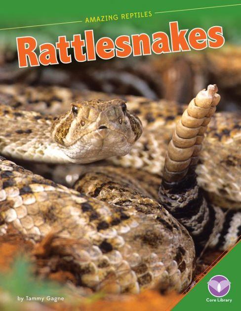 Rattlesnakes by Tammy Gagne | NOOK Book (eBook) | Barnes & Noble®