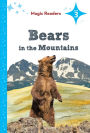 Bears in the Mountains: Level 3