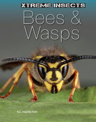 Title: Bees & Wasps, Author: S.L. Hamilton
