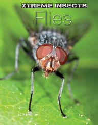 Title: Flies, Author: S.L. Hamilton