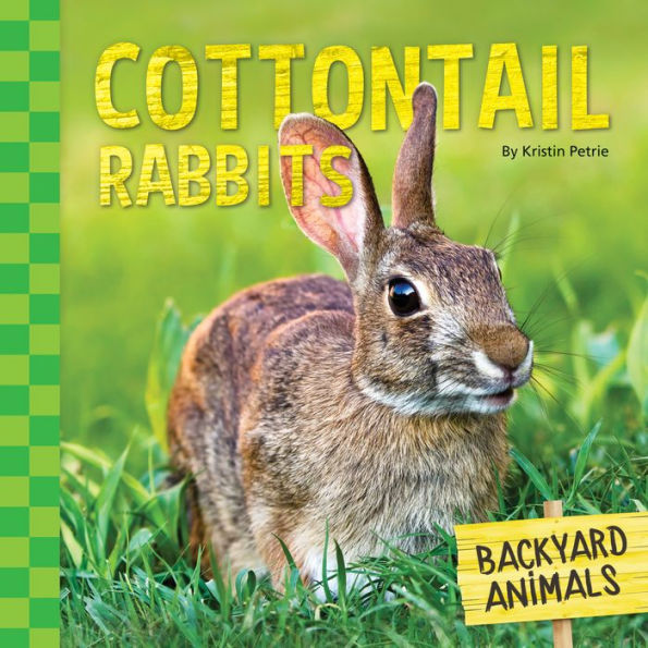 Cottontail Rabbits