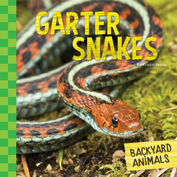 Garter Snakes