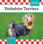 Yorkshire Terriers