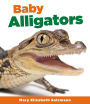 Baby Alligators