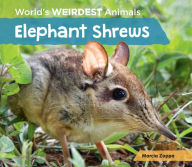 Title: Elephant Shrews, Author: Marcia Zappa