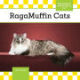 RagaMuffin Cats