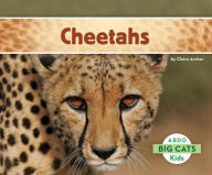Title: Cheetahs, Author: Claire Archer