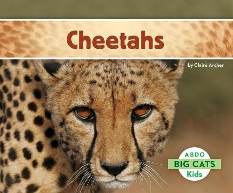 Cheetahs