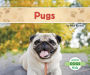 Pugs