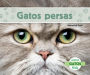 El gato persa