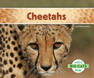 Title: Cheetahs, Author: Claire Archer