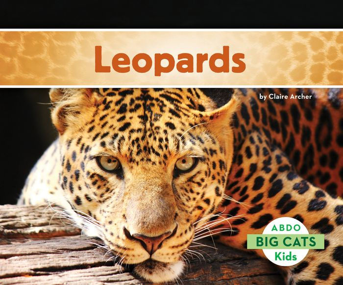 Leopards by Claire Archer | eBook | Barnes & Noble®