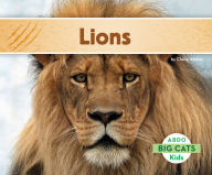 Title: Lions, Author: Claire Archer