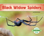 Black Widow Spiders