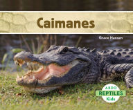 Caimanes