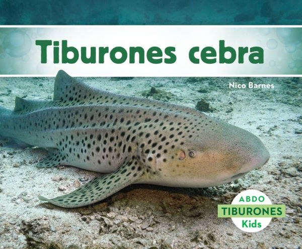 Tiburones cebra