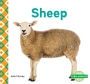 Sheep