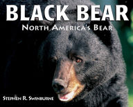 Title: Black Bear: North America's Bear, Author: stephen r. swinburne