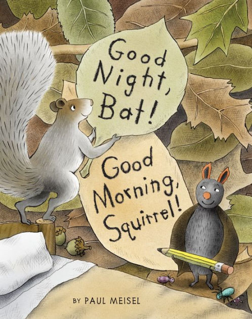 Good Night, Bat! Good Morning, Squirrel! by Paul Meisel, Hardcover ...