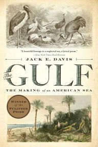 Title: The Gulf: The Making of An American Sea, Author: Jack E. Davis