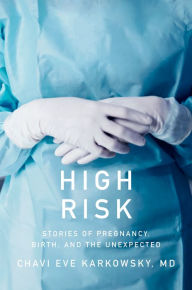 Download books from google free High Risk: Stories of Pregnancy, Birth, and the Unexpected 9781631495021 PDF