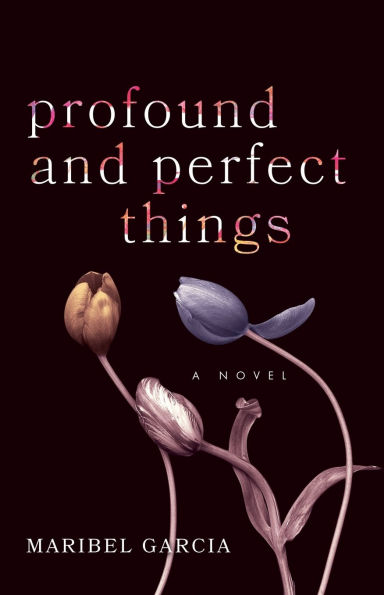 Profound and Perfect Things: A Novel