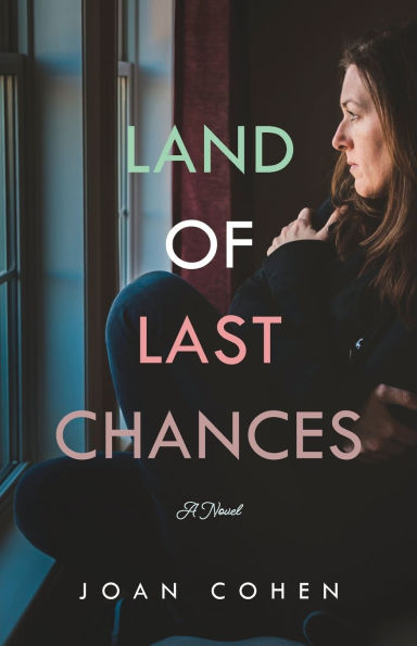 Land of Last Chances: A Novel