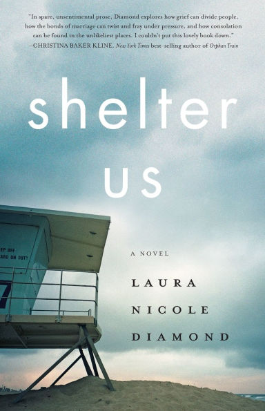 Shelter Us: A Novel