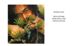 Alternative view 12 of The Bonsai Book: The Definitive Illustrated Guide