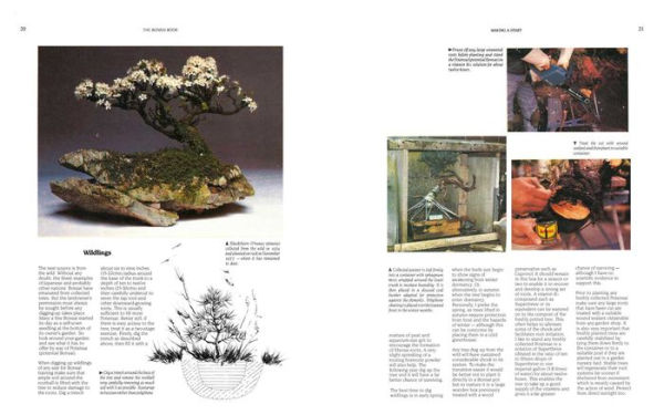 The Bonsai Book: The Definitive Illustrated Guide