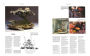 Alternative view 16 of The Bonsai Book: The Definitive Illustrated Guide