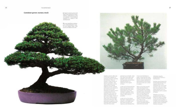 The Bonsai Book: The Definitive Illustrated Guide