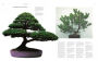 Alternative view 3 of The Bonsai Book: The Definitive Illustrated Guide