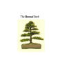 Alternative view 8 of The Bonsai Book: The Definitive Illustrated Guide