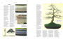 Alternative view 9 of The Bonsai Book: The Definitive Illustrated Guide
