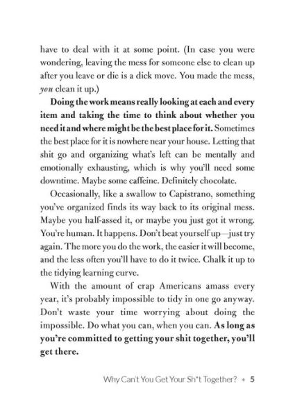 Tidy the F*ck Up: The American Art of Organizing Your Sh*t