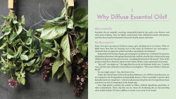 Alternative view 6 of Complete Essential Oil Diffuser Recipes: Over 150 Recipes for Health and Wellness