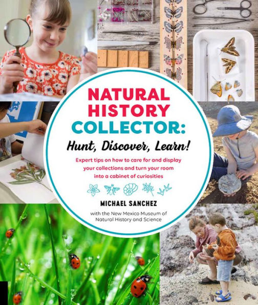 Natural History Collector: Hunt, Discover, Learn!: Expert Tips on how to care for and display your collections turn room into a cabinet of curiosities