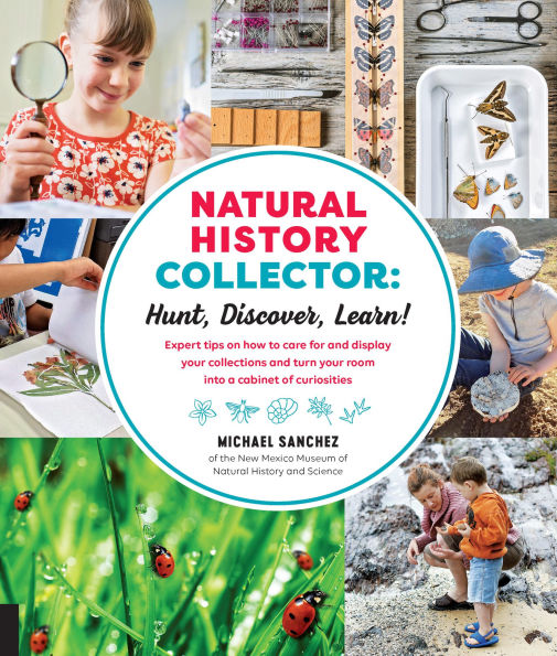 Natural History Collector: Hunt, Discover, Learn!: Expert Tips on how to care for and display your collections turn room into a cabinet of curiosities