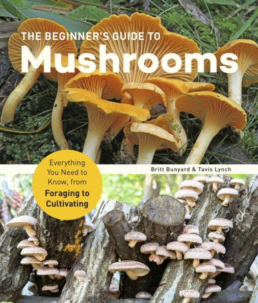 The Beginner's Guide to Mushrooms: Everything You Need Know, from Foraging Cultivating