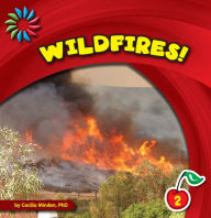Title: Wildfires!, Author: Cecilia Minden