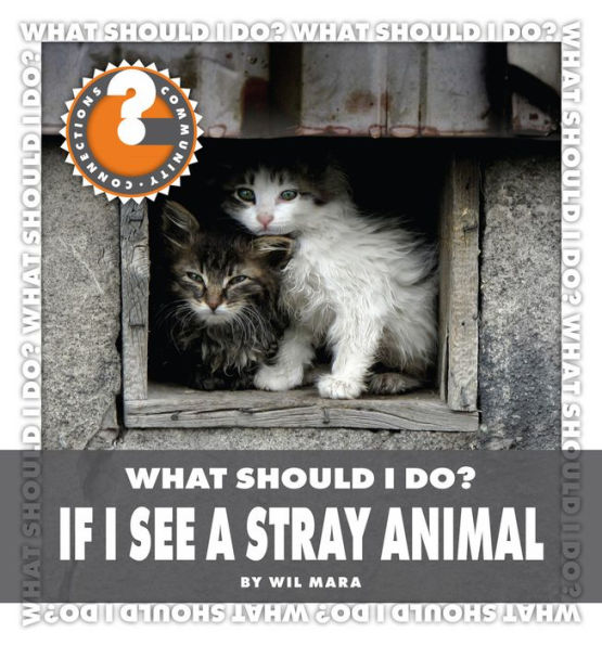 What Should I Do? If I See a Stray Animal