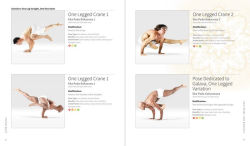 Alternative view 6 of 2,100 Asanas: The Complete Yoga Poses